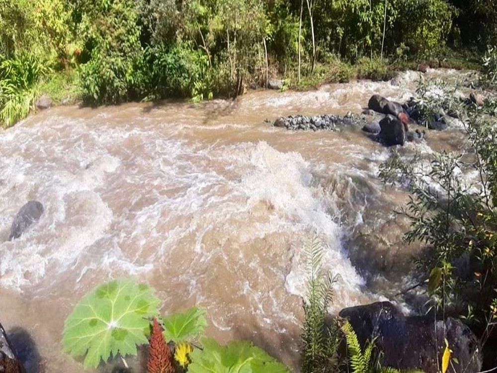Consejo de Estado reconoce los derechos de los ríos Coello, Combeima y Cocora en el Tolima, ordenando proteger sus caudales